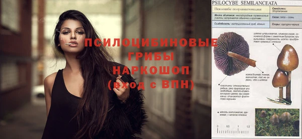 винт Алзамай