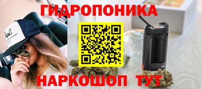 амф Аша