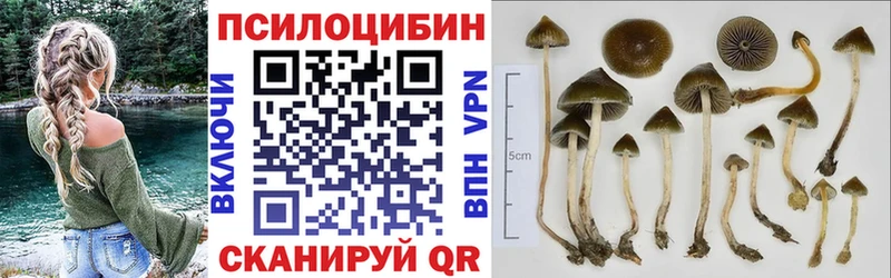 Галлюциногенные грибы ЛСД  Бахчисарай 