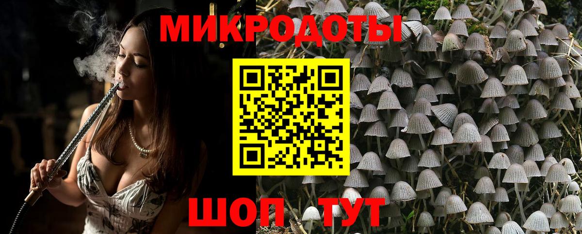 Псилоцибиновые грибы прущие грибы Бахчисарай